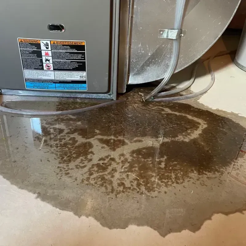 Appliance Leak Cleanup in Jefferson County, OH